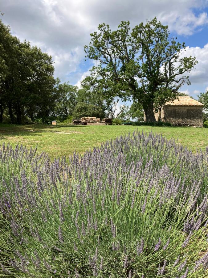 La Bastide Des Roman Villa Vernegues Eksteriør billede